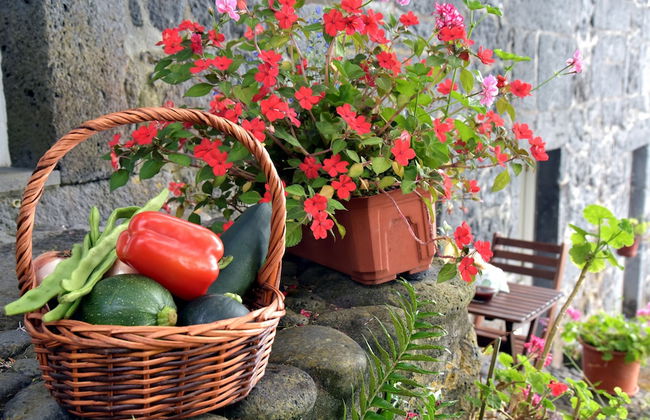 Casa do Zé - AL - Foto 38