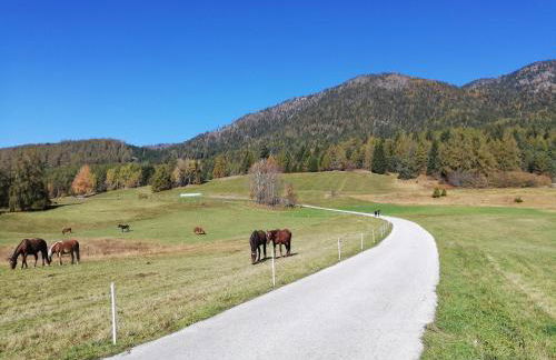 Appartamento Pezzol - Foto 24