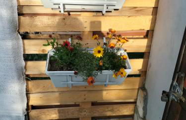 Casale del sole - Foto 13