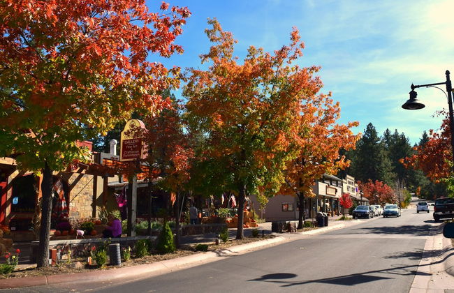 North Shore Lakefront - Photo 44
