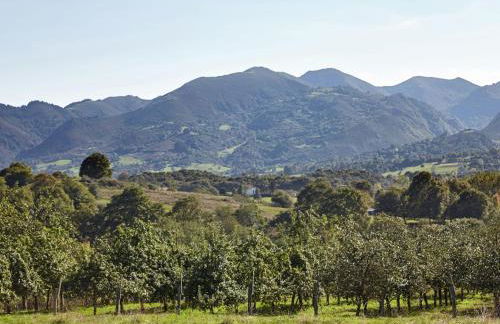 Mansion in Nava with Pool & Terrace - Foto 22