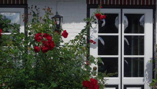 Apartment Geltinger Bucht by Interhome - Foto 4