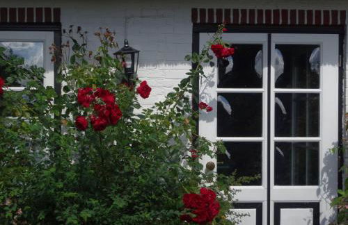 Apartment Geltinger Bucht by Interhome - Foto 4