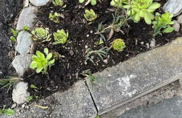 LA CASETTA DELLE NUVOLE - Foto 9