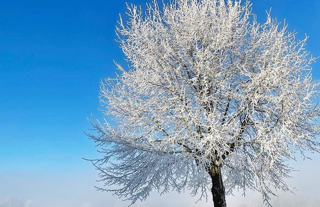 4 Star Holiday Home in Solvesborg-by Traum - Photo 13