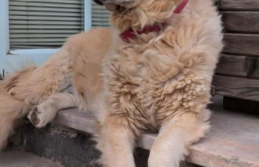 Ferienwohnung Schlern Bio Schrofhof - Photo 34