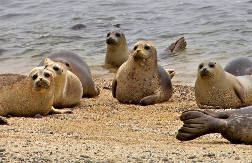 1 block to beach, Private Hot Tub, Fire Pit and BBQ - Foto 35