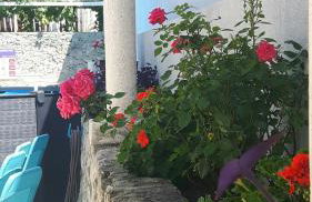 Apartment Ela - Photo 37