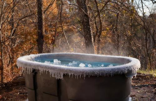 Heated Hydro Pool -Spa - Plunge - Luxe AVL Retreat - Foto 19