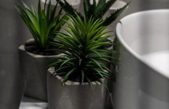 Triantos Guesthome Studio - Photo 8