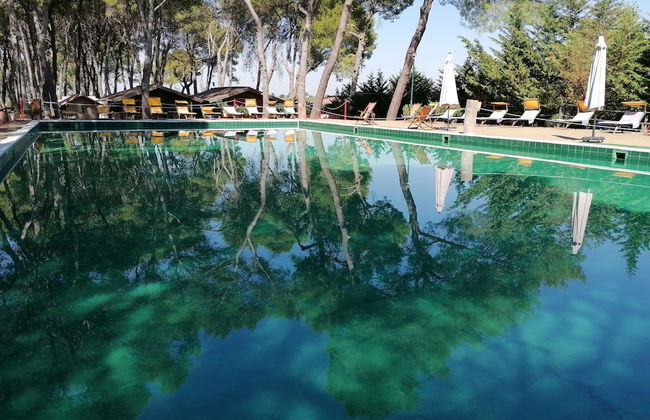 Camping Green Village Pin Tourist - Foto 3