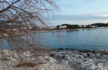 Apartmani Seka 1 - Foto 15