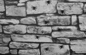 The Wizards Cauldron -Harry Potter Themed - Foto 39