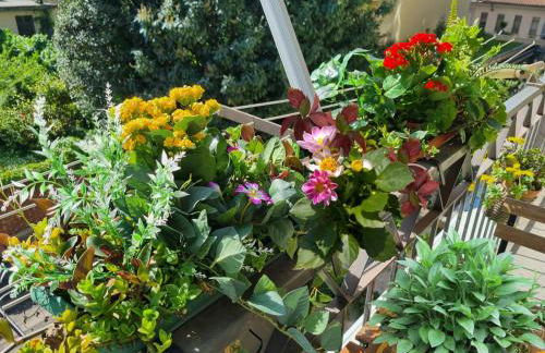 Mancini 1 - Gran Madre - Foto 31