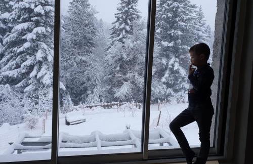 LE DOMAINE DE LA LOUVE BLANCHE - Foto 7