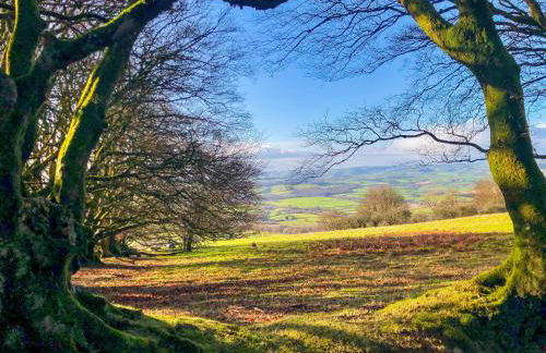 Dragonfly Two - Photo 16