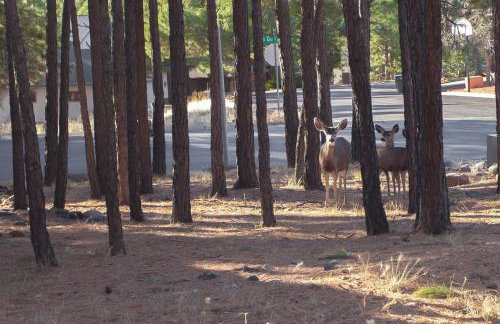 2 Living Rooms Fires Quick Drive Downtown - Foto 4