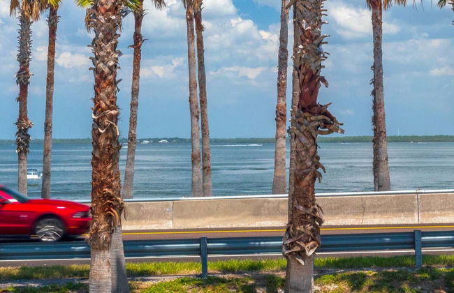 Mustang Tour in Cozumel - Photo 1