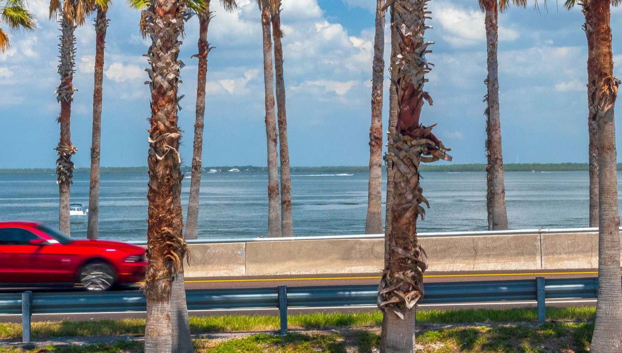 Tour de Mustang por Cozumel