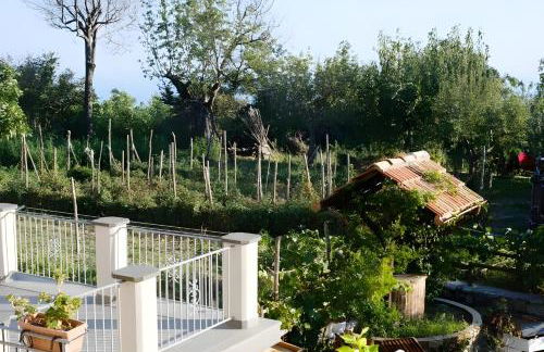 Luna D'Agerola - Foto 73