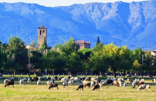 El Escondite de Molina. Valle del Tiétar. - Photo 50