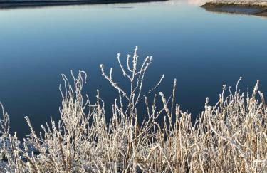 Gut Groß Fedderwarden, Ferienwohnung Emma - Photo 7