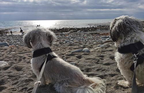 Sea and Mountain view Sunbeach Holiday Snowdonia - Photo 67