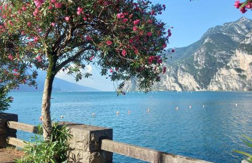 Appartamento Carmen - Foto 44
