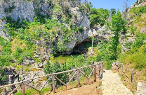 Timber Dream - Photo 30