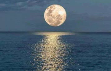 Casa Rural Finca la Maleza - Foto 59