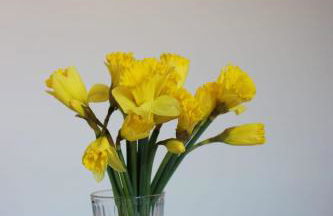 Theatre Lodge Attico teatro - Photo 24