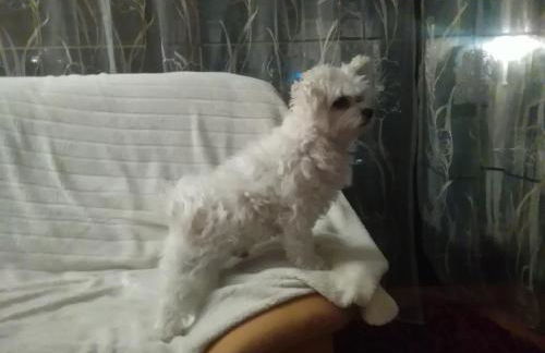 Haus Göhrenz - Photo 21