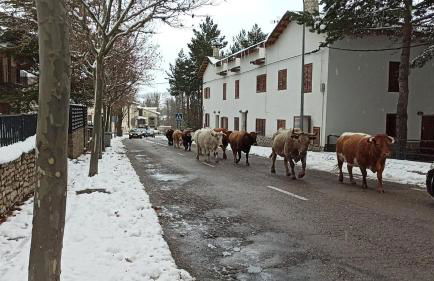 Apartamento LA MONTESA - Foto 63