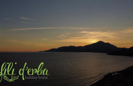 Fili d'Erba Cilento - Foto 59