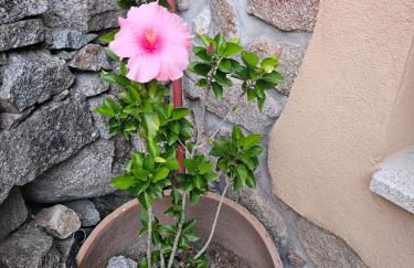 EL PATIO DE LAS TINAJAS - Photo 36