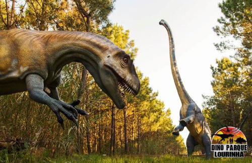 Casa Menezes - Foto 48