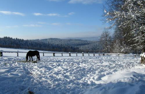 Ferienhaus Zopfhäusl - Foto 2