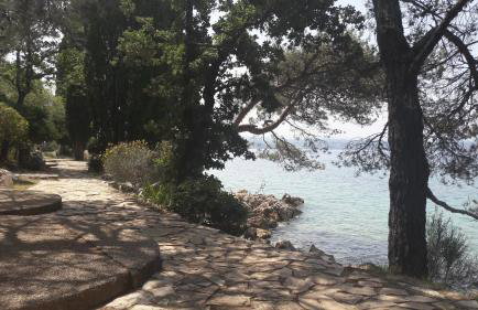 Apartmani Niessner - Foto 21