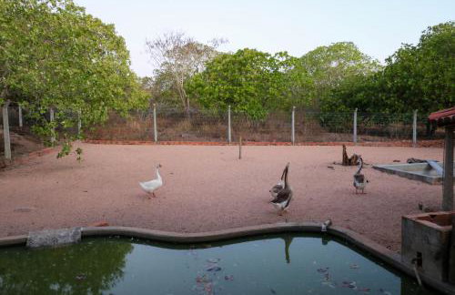 Rancho Império do Cajú - Foto 8