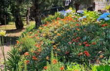 Casa Nova das Oliveiras - Foto 15