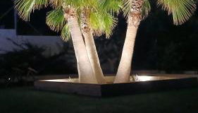 Villa con tres palmeras - Foto 2