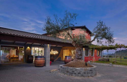 Ameztoi Experience - Foto 1