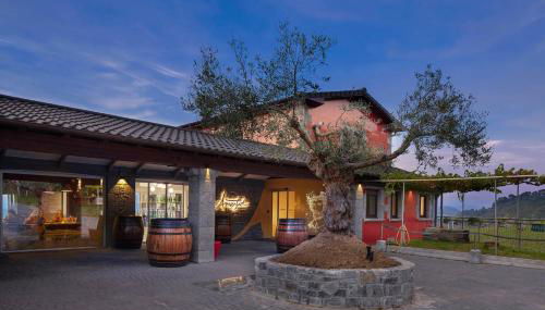 Ameztoi Experience - Foto 1