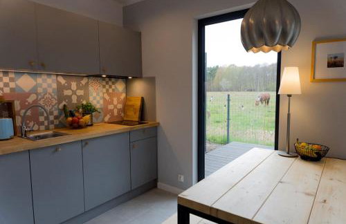 Domki Czarny Bocian - Foto 29