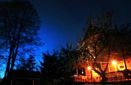 Miętowy Anioł - Foto 67