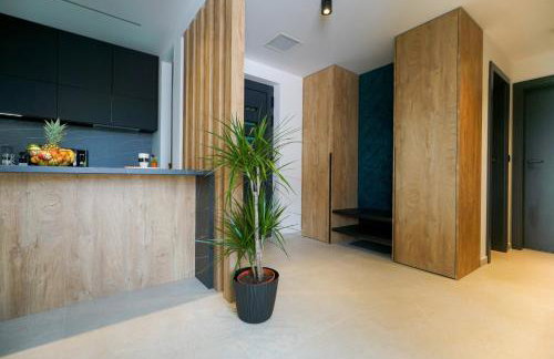 Luxury Apartments Višta - Foto 69