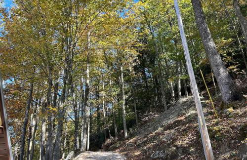 Cherokee Cabin-Cave Run Lake and Cliff Views-Red River Gorge - Foto 43