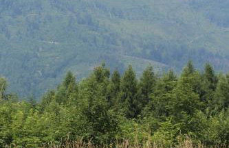 Domki Spokojny Zakątek z balią z jacuzzi - Foto 44