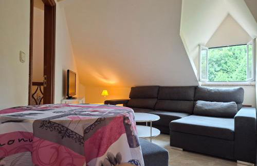 Oasis Ponte San Lázaro - Photo 21