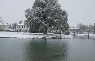 Villa Olanda - Photo 62